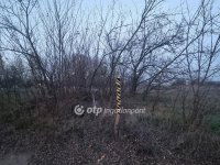 Eladó telek, Albertirsán 6.5 M Ft / költözzbe.hu