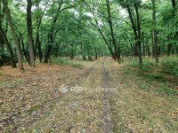 Eladó nyaraló, Csemőn 41.6 M Ft, 3 szobás / költözzbe.hu