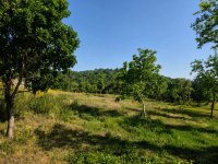 Eladó telek, Cserszegtomajon 22.99 M Ft / költözzbe.hu