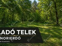 Eladó telek, Monorierdőn 3.9 M Ft / költözzbe.hu