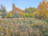 Eladó telek, Gárdonyban 139 M Ft / költözzbe.hu