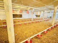 Eladó ipari ingatlan, Kiskunfélegyházán 299 M Ft