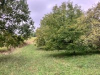 Eladó telek, Vöcköndön 0.7 M Ft / költözzbe.hu