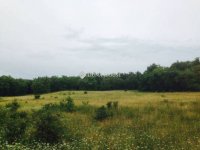 Eladó mezogazdasagi ingatlan, Öskün 15 M Ft