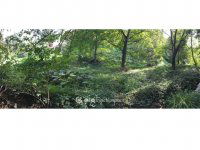 Eladó telek, Pécsett 14.9 M Ft / költözzbe.hu