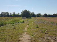 Eladó telek, Levélen 9.9 M Ft / költözzbe.hu