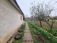 Eladó családi ház, Gárdonyban 49.9 M Ft, 4 szobás