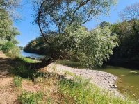 Eladó telek, Rácalmáson 20 M Ft / költözzbe.hu