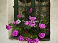 Eladó ipari ingatlan