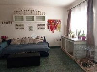 Eladó családi ház, XVII. kerületben 129 M Ft, 6 szobás