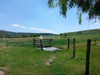 Eladó mezogazdasagi ingatlan, Biatorbágyon, Nagy utcában 209 M Ft