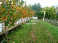 Eladó mezogazdasagi ingatlan, Kerepesen 75 M Ft, 3 szobás