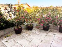 Eladó téglalakás, XII. kerületben 350 M Ft, 3 szobás