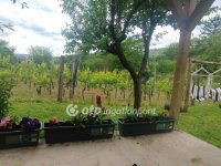 Eladó telek, Szekszárdon 12 M Ft / költözzbe.hu