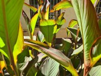 Eladó iroda, IX. kerületben 63.9 M Ft / költözzbe.hu