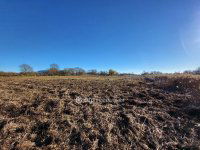 Eladó mezogazdasagi ingatlan, Balatonedericsen 147.052 M Ft