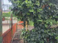 Eladó családi ház, Abonyban 41.9 M Ft, 4 szobás