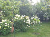 Eladó családi ház, XV. kerületben 198.9 M Ft, 5 szobás