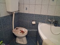 Eladó családi ház, Dobán 30 M Ft, 2+2 szobás