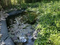 Eladó családi ház, Alsónémediben 59 M Ft, 2+1 szobás