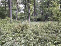 Eladó telek, Felsőtárkányban 250 M Ft / költözzbe.hu