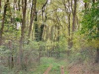 Eladó mezogazdasagi ingatlan