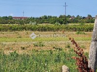 Eladó telek, Sopronban 5.4 M Ft / költözzbe.hu