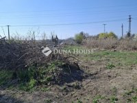 Eladó mezogazdasagi ingatlan, Szegeden 78 M Ft