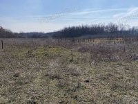 Eladó mezogazdasagi ingatlan, Lajosmizsén 99 M Ft