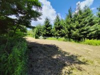 Eladó mezogazdasagi ingatlan, Iváncon 180 M Ft