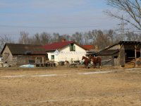 Eladó családi ház, Debrecenben 54 M Ft, 2 szobás