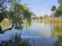 Eladó nyaraló, Dunaharasztin 64.5 M Ft, 1+1 szobás