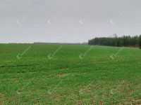 Eladó telek, Hegyhátszentjakabon 10 M Ft / költözzbe.hu