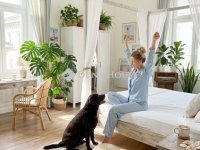 Eladó téglalakás, V. kerületben, Havas utcában 199.9 M Ft