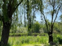 Eladó nyaraló, Dunaharasztin 57.9 M Ft, 1+1 szobás