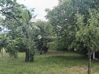 Eladó telek, Lepsényben 5.9 M Ft / költözzbe.hu