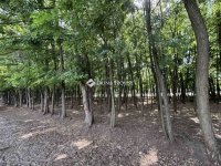 Eladó családi ház, Kecskeméten 134.99 M Ft, 4 szobás