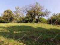 Eladó telek, Zalaegerszegen 7.5 M Ft / költözzbe.hu