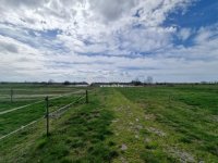 Eladó családi ház, Cegléden 135 M Ft, 1 szobás