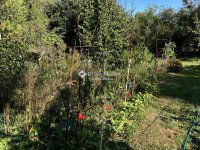 Eladó telek, XXIII. kerületben 80 M Ft / költözzbe.hu