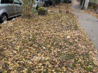 Eladó téglalakás, XIX. kerületben 38.5 M Ft, 1 szobás