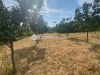 Eladó családi ház, XXII. kerületben 54.9 M Ft, 3 szobás