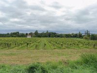 Eladó mezogazdasagi ingatlan, Balatonszepezden 99 M Ft