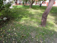 Eladó mezogazdasagi ingatlan, Lajosmizsén 205 M Ft, 22+4 szobás