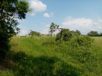 Eladó mezogazdasagi ingatlan, Igalon 2.4 M Ft