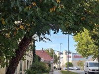 Eladó téglalakás, Pécsett 27.9 M Ft, 1 szobás