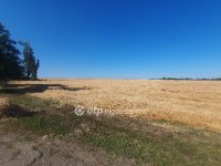 Eladó mezogazdasagi ingatlan, Taktaharkányon 39 M Ft