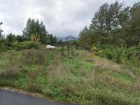 Eladó telek, Esztergomban 11.9 M Ft / költözzbe.hu