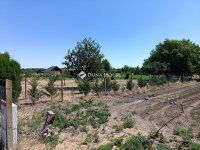 Eladó mezogazdasagi ingatlan, Szegeden 8.5 M Ft