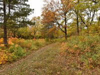 Eladó telek, Pécselyen 24.99 M Ft / költözzbe.hu